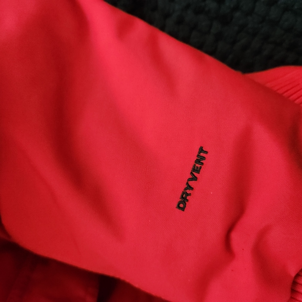 THE NORTH FACE winter coat - Picture 4 of 6